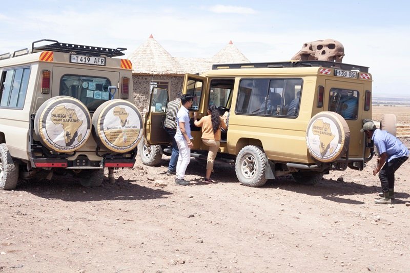 Africa Tours: Complete Guide to Africa Safaris in 2025 - 2026