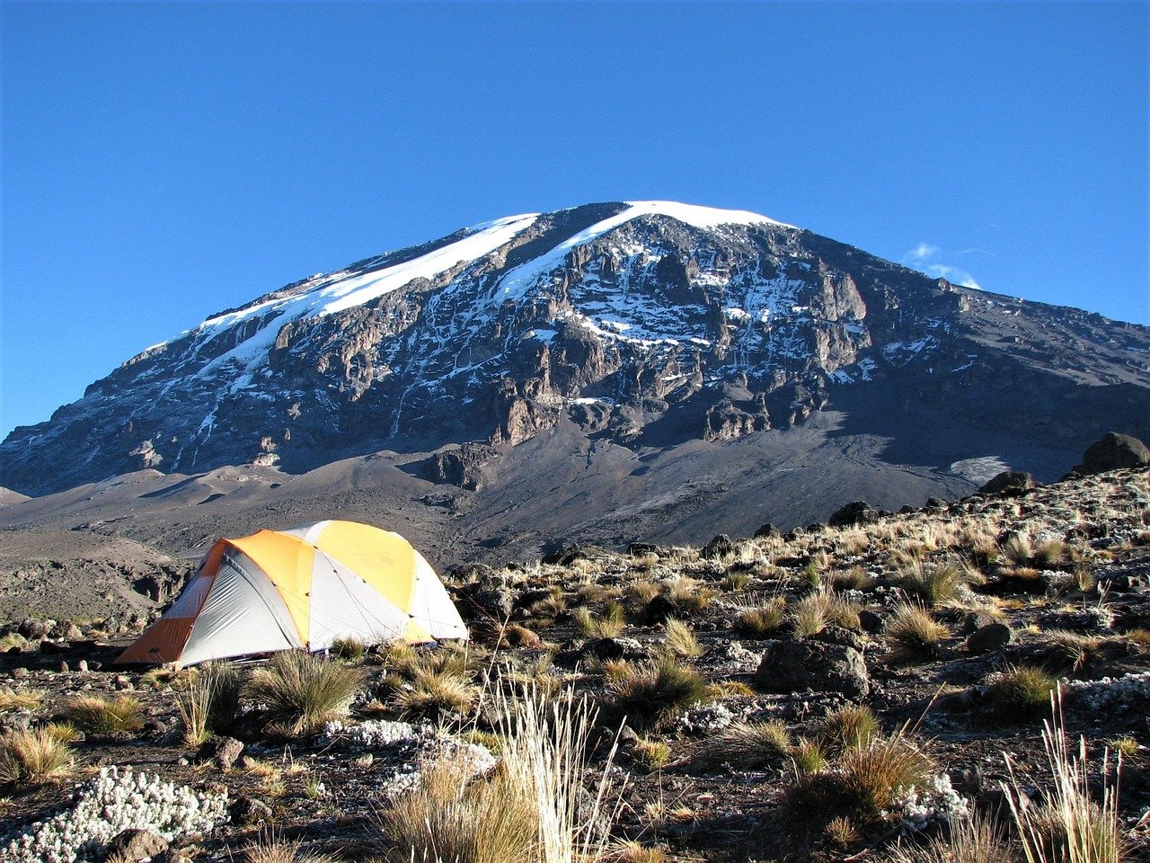 Combo 9 Days Kilimanjaro and Tanzania Safari | Ultimate Trek & Wildlife 2025 - 2026