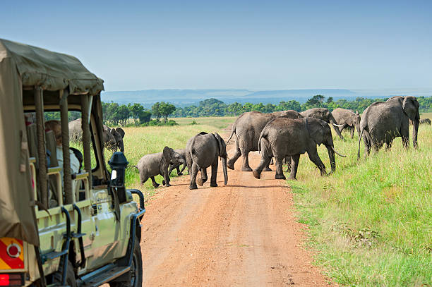 Tanzania Group Joining (June, July, August, September - October) 2025 - 2026