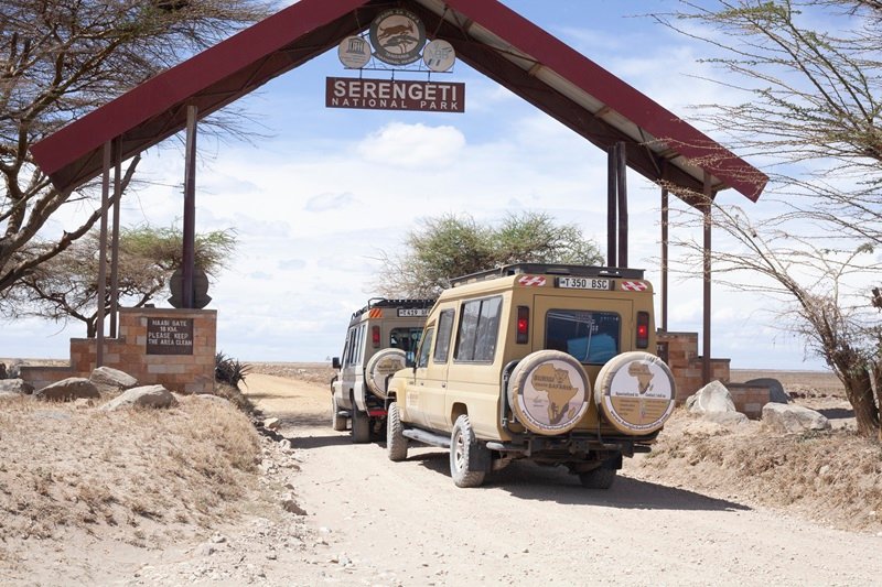 Tanzania Safari from Mwanza – Rock City | Serengeti Safaris 2025 - 2026