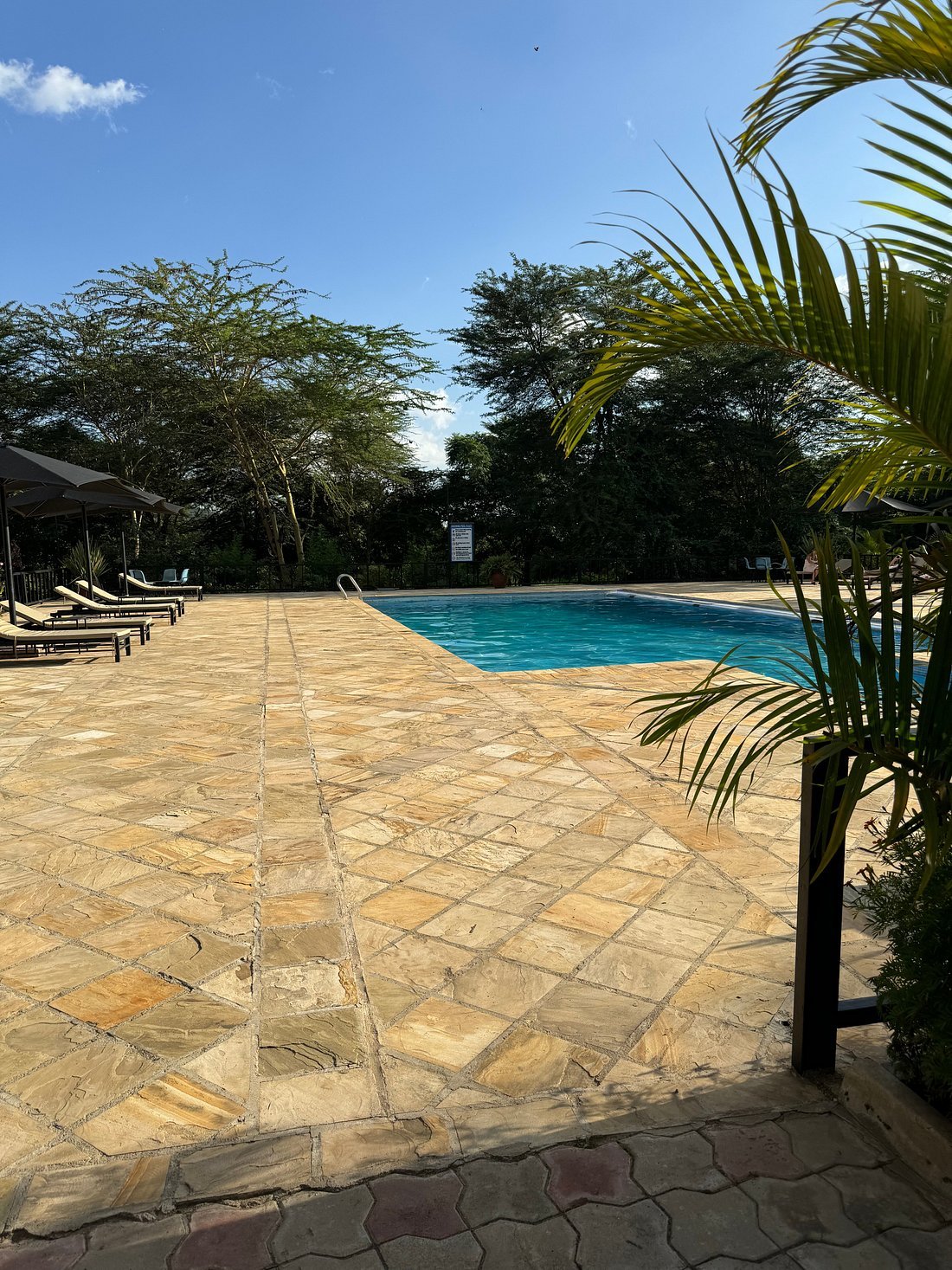 Pazuri-Inn