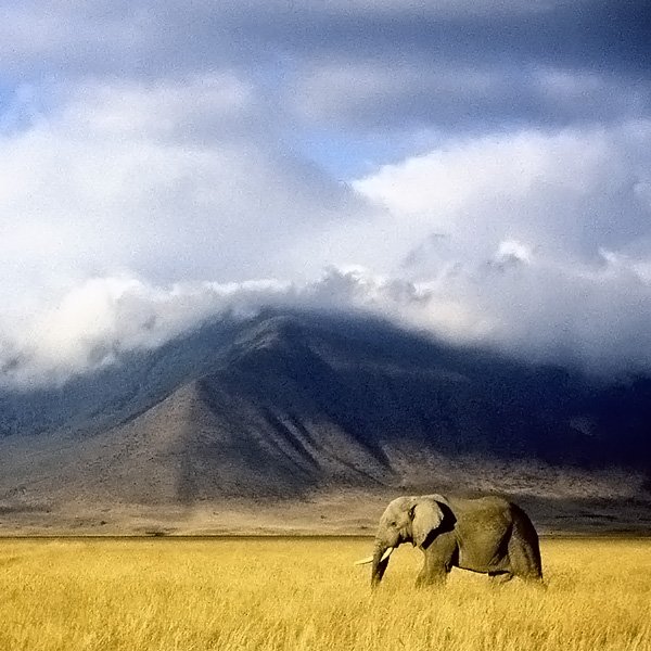 ang'ata-ngorongoro-camp