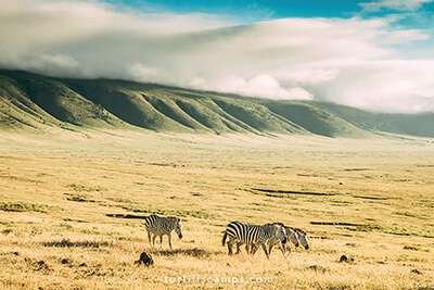 ngorongoro-tortilis-camp