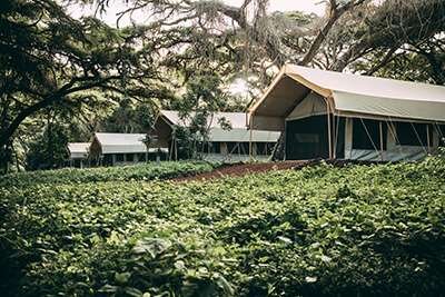ngorongoro-tortilis-camp
